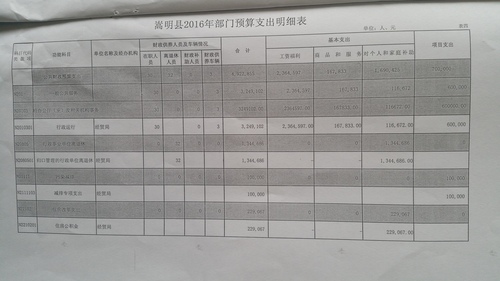 2016年部门预算支出明细表、