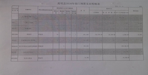 2016年部门预算支出明细表