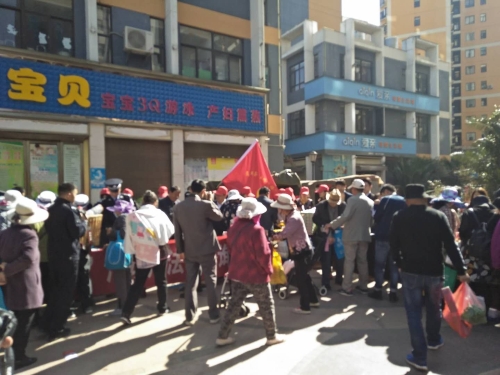 扫黑除恶支部在行动3