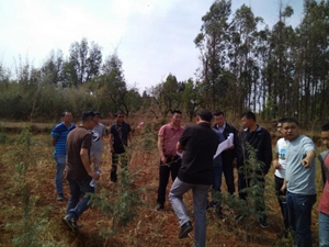 嵩明县召开小龙高速嵩明西互通至杨嵩大道连接线工程征迁工作现场推进会 嵩明县召开小龙高速嵩明西互通至杨嵩大道连接线工程征迁工作现场推进会