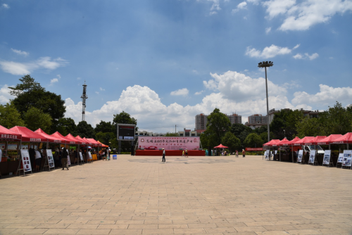 图片3