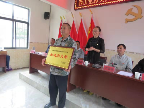图片4