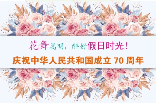 15.webp