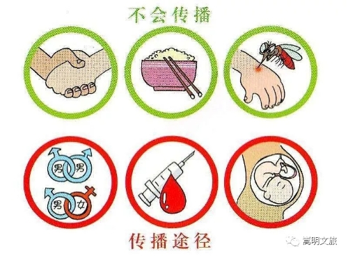 4.webp