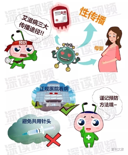 8.webp