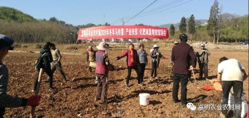 微信图片_20200409130545