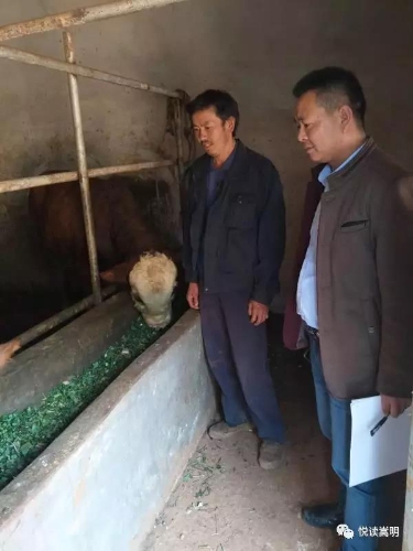 微信图片_20200409150637