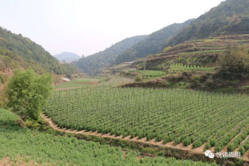微信图片_20200409151947