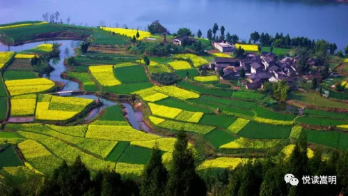 微信图片_20200409174702