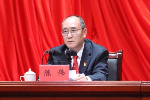县委书记陈伟作报告