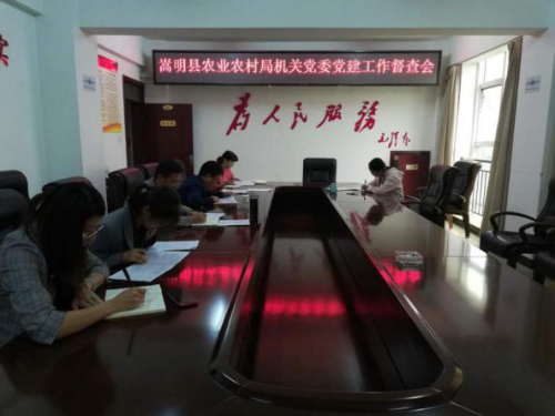 工作督查会