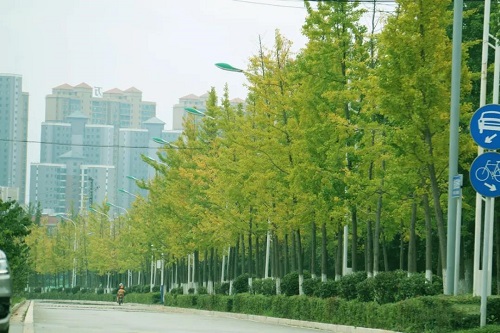 微信图片_20201019102403