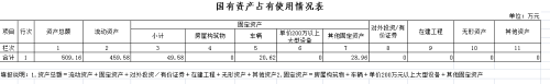 国有资产占有使用情况