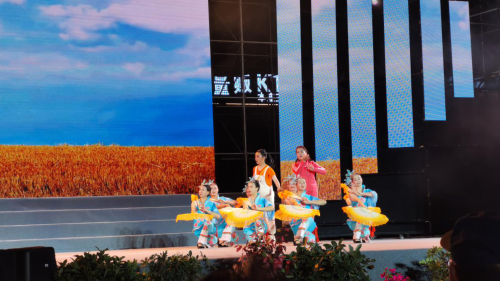 图片4