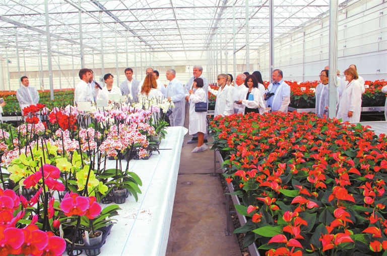 云南省花卉示范园区 打造高原特色农业新标杆