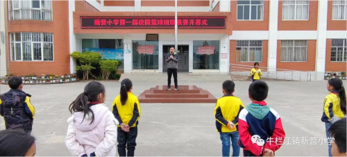 图片15