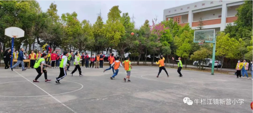 图片16