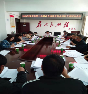 项目评审会3.26
