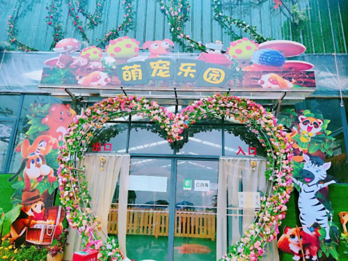 图片14