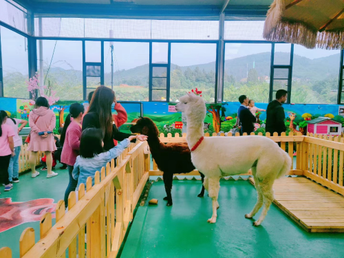 图片16