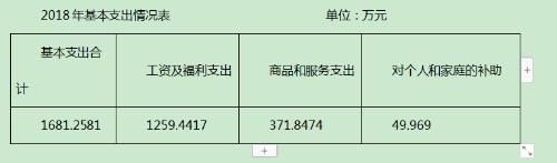 10基本支出表