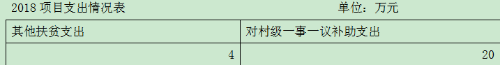 12项目支出表