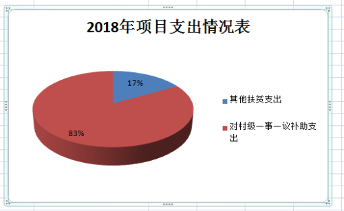 13项目支出图