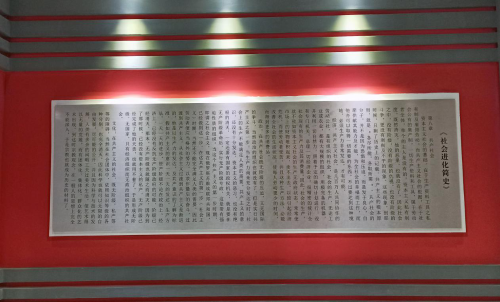 图片5