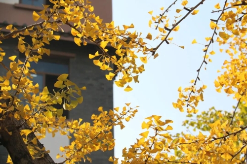 微信图片_20211103145206
