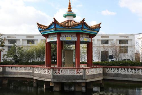 图片12