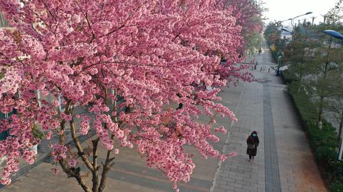 DJI_0911