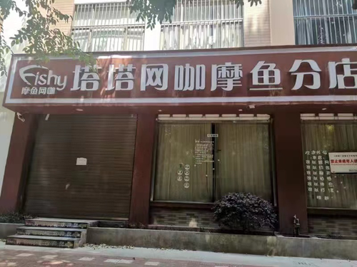 图片4