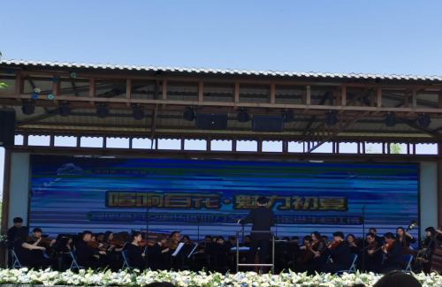 图片14