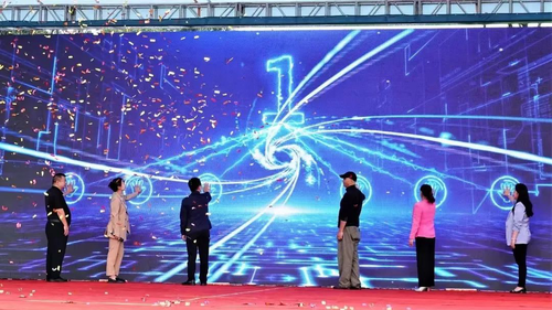 图片3