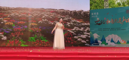 图片8