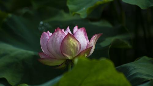 _DSC89807