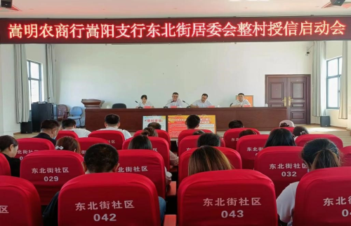 图片11