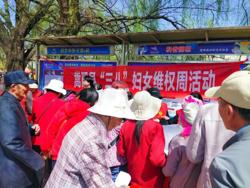 图片1