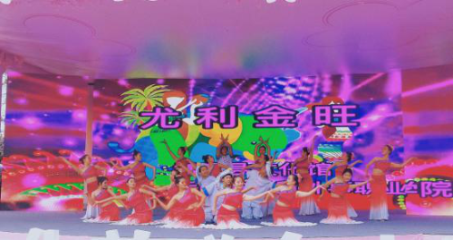 图片5