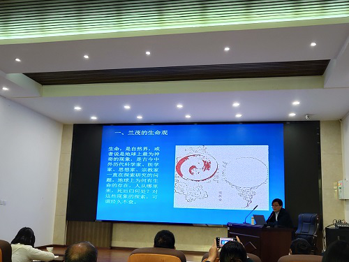 图片11