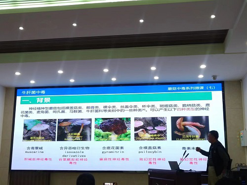 图片12