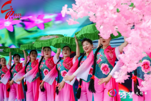 图片6