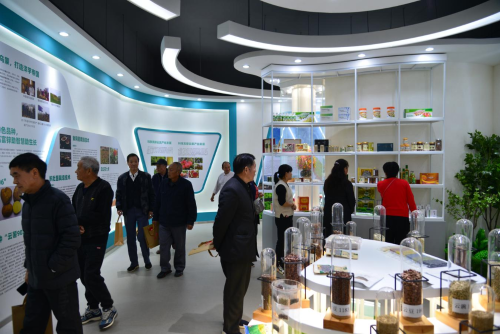 图片 13