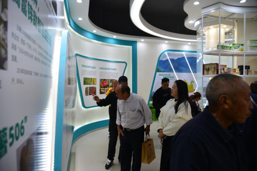 图片 14