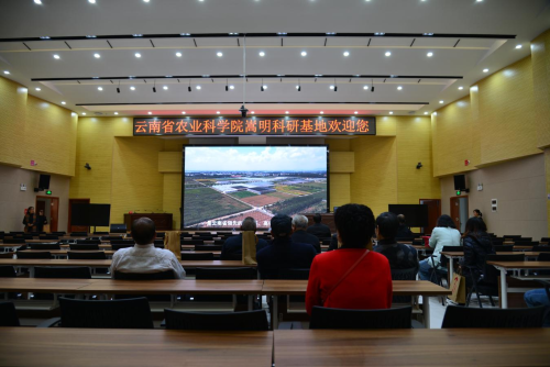 图片122