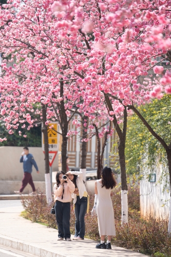DSC09062 拷贝