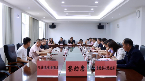 图片4