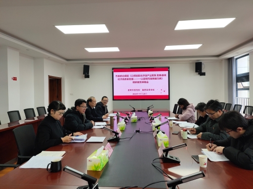 市县联动课题调研报告审稿会1