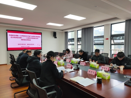 市县联动课题调研报告审稿会2