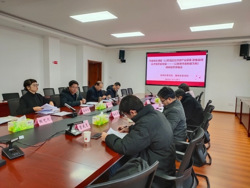 市县联动课题调研报告审稿会3
